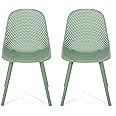 Christopher Knight Home Darleen Outdoor Dining Chair (Set of 2), Green