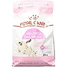 ROYAL CANIN FELINE HEALTH NUTRITION Mother & Babycat dry cat food