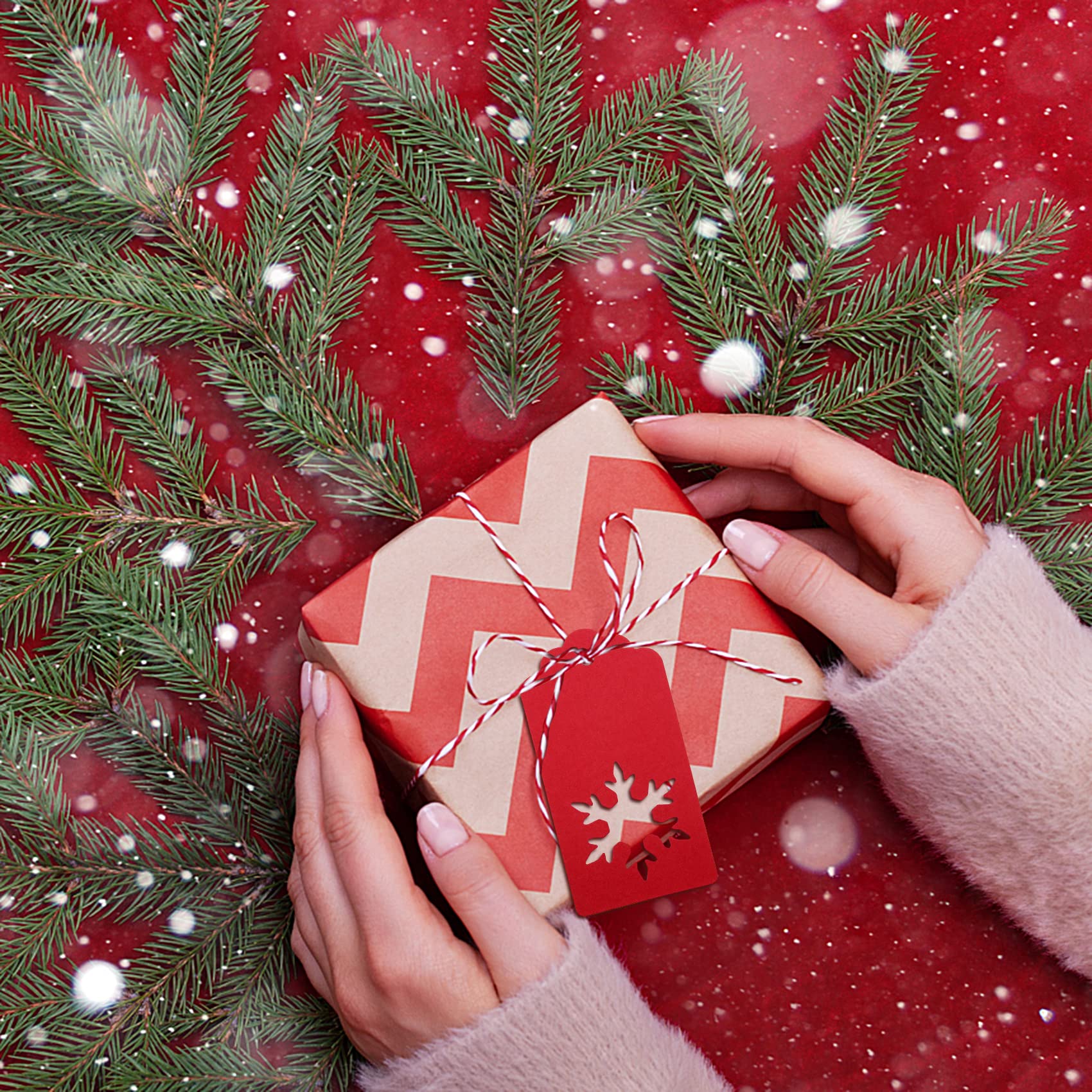 300 Feet Natural Jute Twine and 100PCS Gift Tags & Price Tags Labels by Blisstime (red)