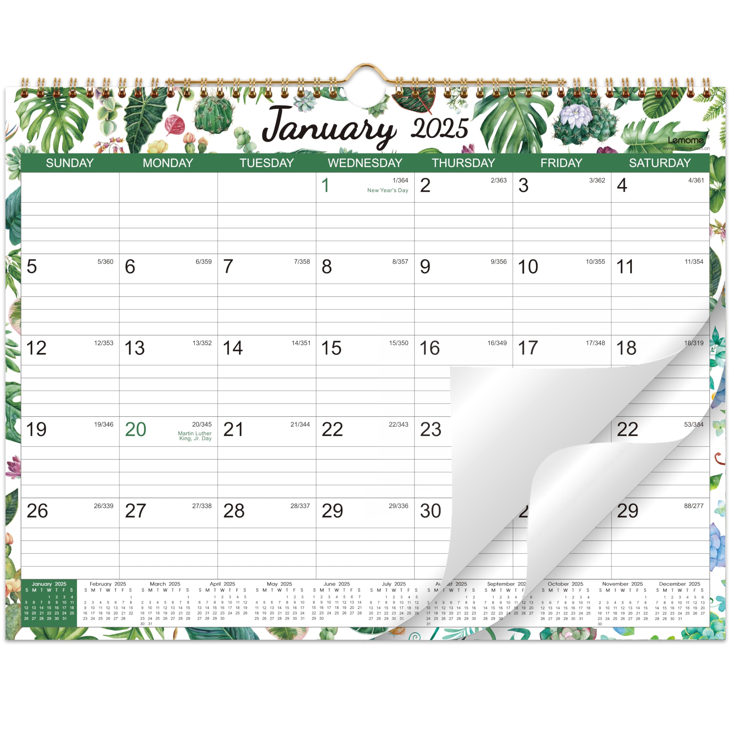 2025 Calendar 2025 Wall Calendar Covers 18 Months from Jan.2025 Jun