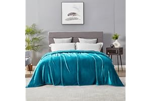 DREAMNINE Super Large Soft Fuzzy Flannel Fleece Bed Blanket 90" x 90", Decorative Solid Lightweight Big Velvet Blanket, Luxury Cozy Shag Plush Microfiber Blanket for Bedroom,Warm, Queen Size,Teal Blue