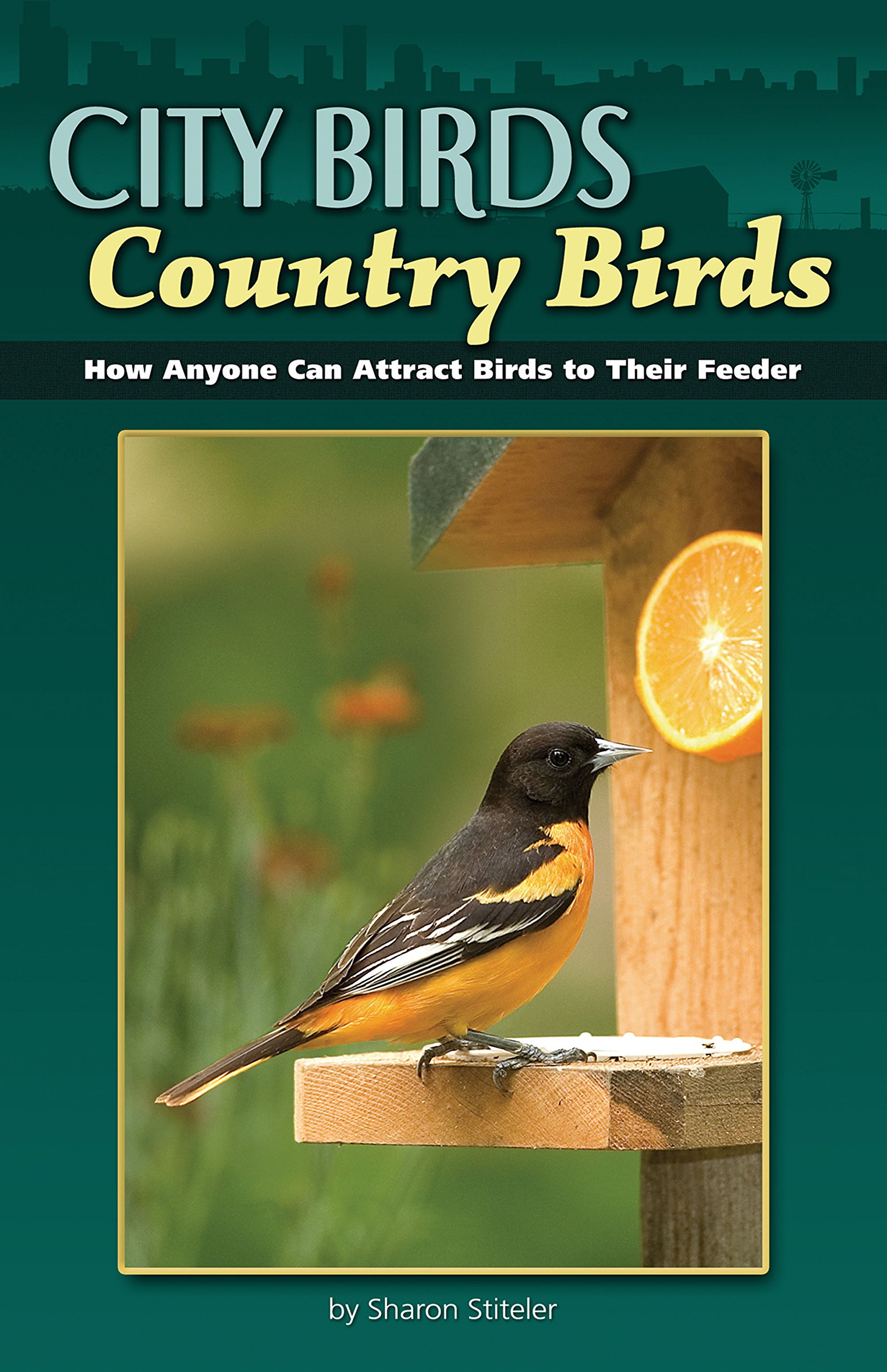 City Birds Country Birds How Anyone Can Attract Birds To Their