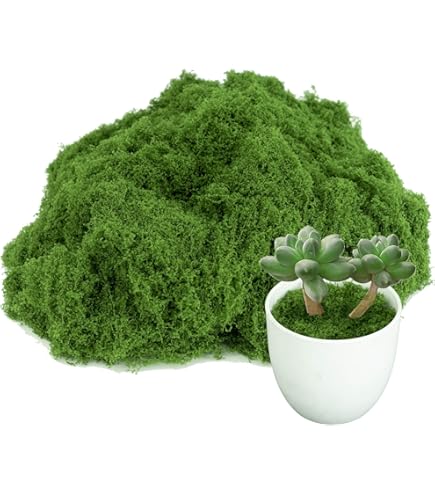 6 Árboles Miniatura De Pino Verde Para Maquetas Y Paisajes DIY – Tamaños 9, 10 Y 12.5 Cm