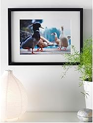 IKEA Ribba Frame Black 303.784.25 Size:12x16