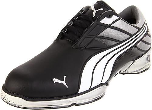 ecco fusion 2 silver