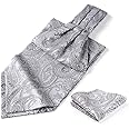 HISDERN Ascot Ties for Men Paisley Cravat Tie and Pocket Square Set Floral Mens Ascot Scarf Handkerchief Wedding Party