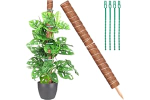KXCOFTXI 32IN Moss Pole, 2 Pack 16IN Moss Coir Totem Pole for Pothos, Moss Plant Stick, Indoor Plant Stake, Small Moss Pole for Monstera and Climbing Indoor Plants (4 Plant Wrap Ties Included)