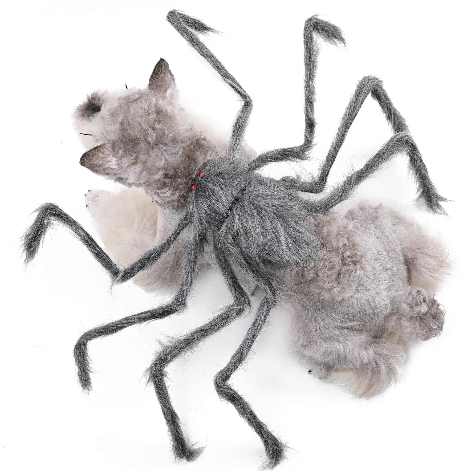 BT Bear Pet Halloween Costume, Spider Dog Halloween Cloak Holiday Dress Up Cosplay Costumes(Grey,S)