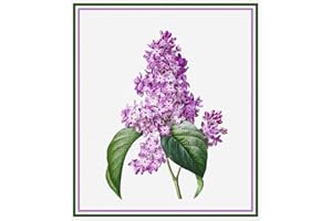 ORENCO ORIGINALS Botanical Redoute Lilac Flowers Counted Cross Stitch Pattern with Needles