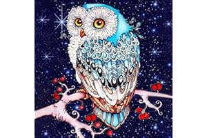 Hibah Diamond Painting DIY 5D Special Shape Rhinestone, Starry Owl, Partial Diamond Crystal Diamond Painting Set (Starry)