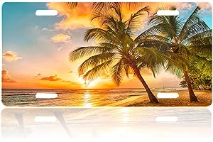RZZLP Beach Sunrise Car Front License Plate Cover,Tropical Palm Trees Personalized License Plate Rust-Proof Stainless Metal Car Plates Tag Novelty Decorative for Men Women,12.2" X 6.2"