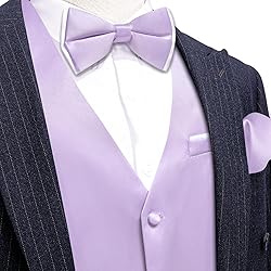 Barry.Wang Mens Light Purple Formal Suit Vest