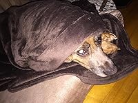 Review Image by MFam