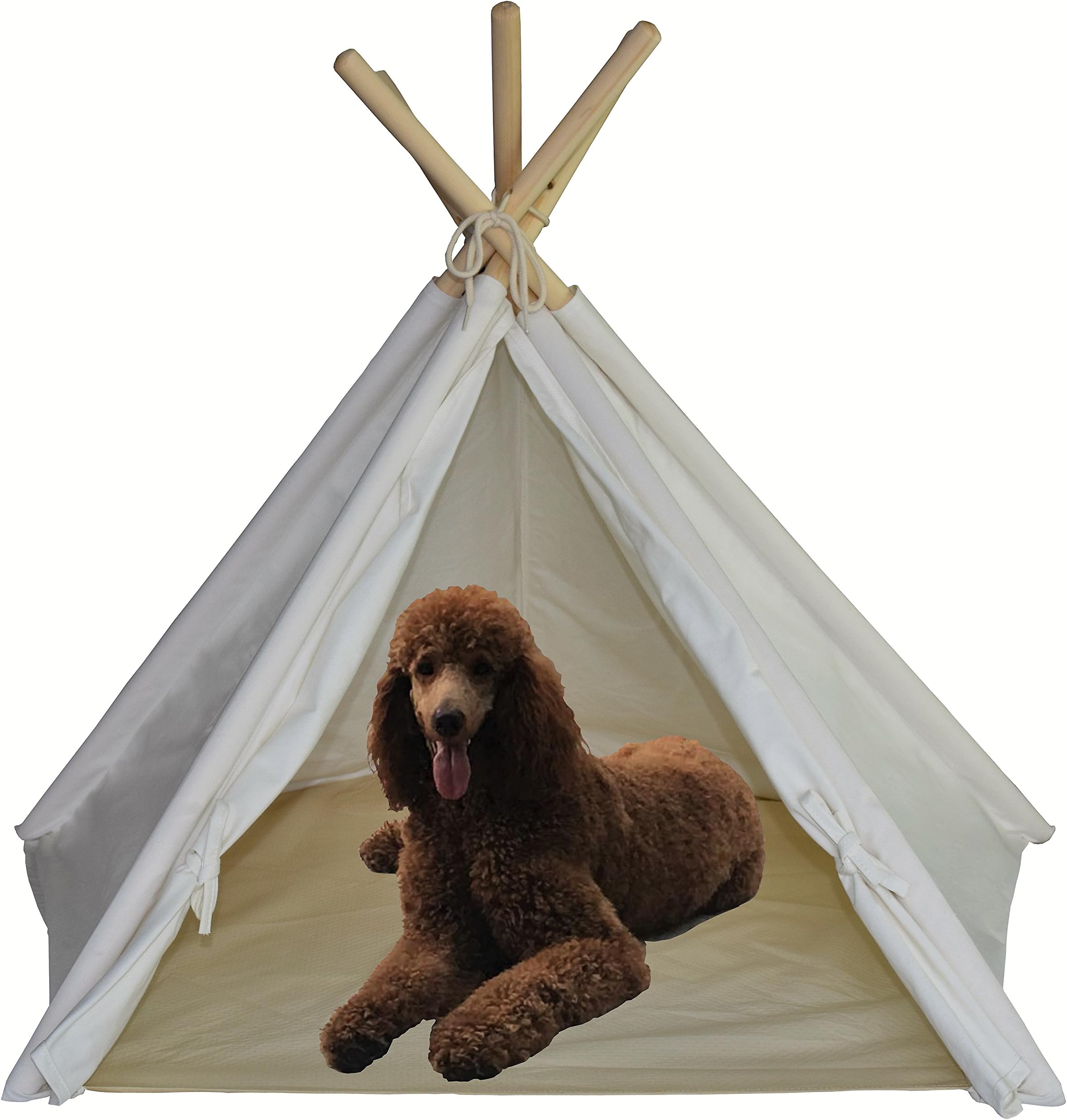 Golden Spearhead Cotton Canvas Teepee for Pets, with Window, Anti-Slip Floor, Washable, 30-inch high from Floor to top of Poles, 37-inch Diameter, Foldable Tent; Super Stable, 5 Sides