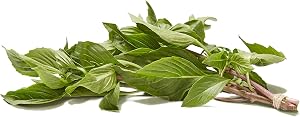 Organic Herb Basil Thai, 0.5 Ounce