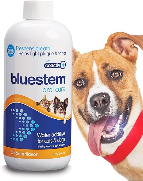 products for dogs bad breath