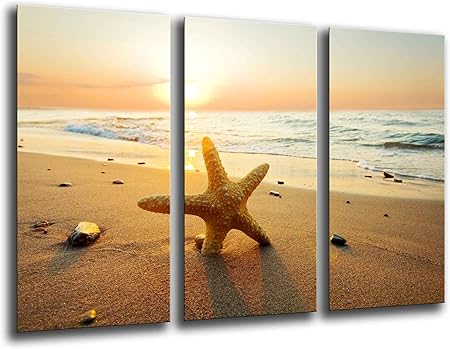 cuadros del mar amazon