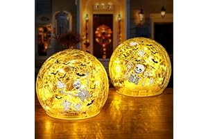 Yinhua 2 PCS Halloween Decorations Indoor 4" Skeletons Globe Light with Timer Bat Crackle Glass Ball Warm Light for Table Centerpieces Lighted Decorative Ball Globe Lamp Tabletop Led Lamp Gift