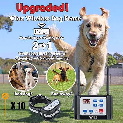 pet dog tags near me