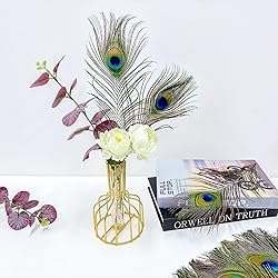 Piokio 10 pcs Natural Peacock Feathers in Bulk