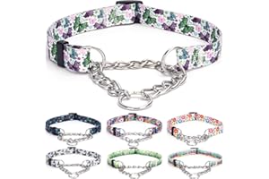 Bbmmayy Martingale Collar, Training Dog Collar, Stainless Steel Chain Pet Collar for No Pull Dog Walking Flowers Design Large Medium Small Dogs (M, Butterfly)