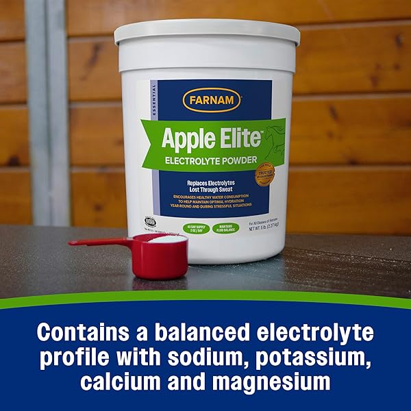 FARNAM APPLE ELITE HORSE ELECTROLYTES POWDER SUPPLEMENT, REPLACES VITAL MINERALS, ENCOURAGES HYDRATION, SUGAR-FREE, CONTAINS SODIUM, POTASSIUM, CALCIUM & MAGNESIUM, APPLE FLAVORED, 5 LB