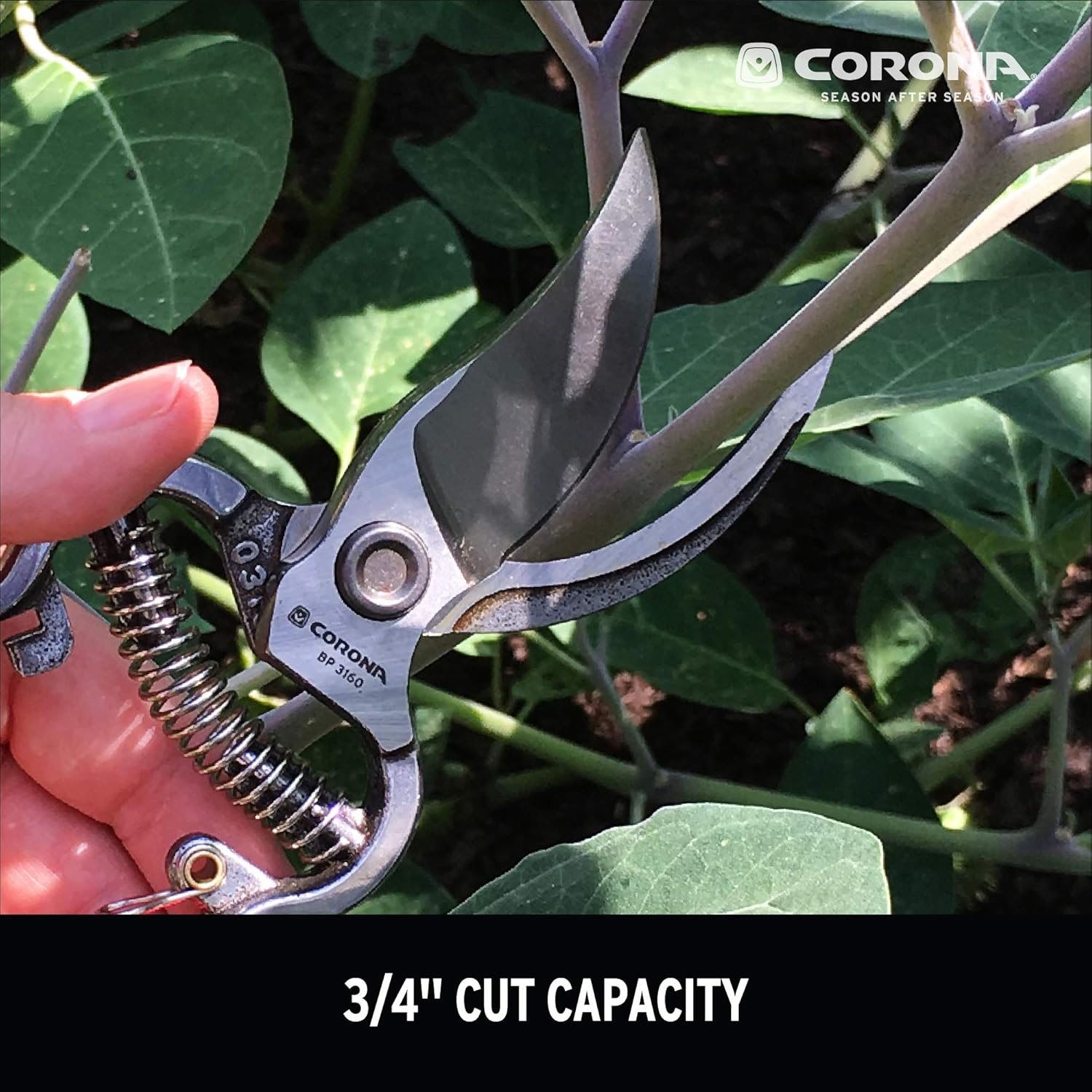 Corona ClassicCUT Forged Bypass Hand Pruner, Red : Hand Pruners : Garden & Outdoor