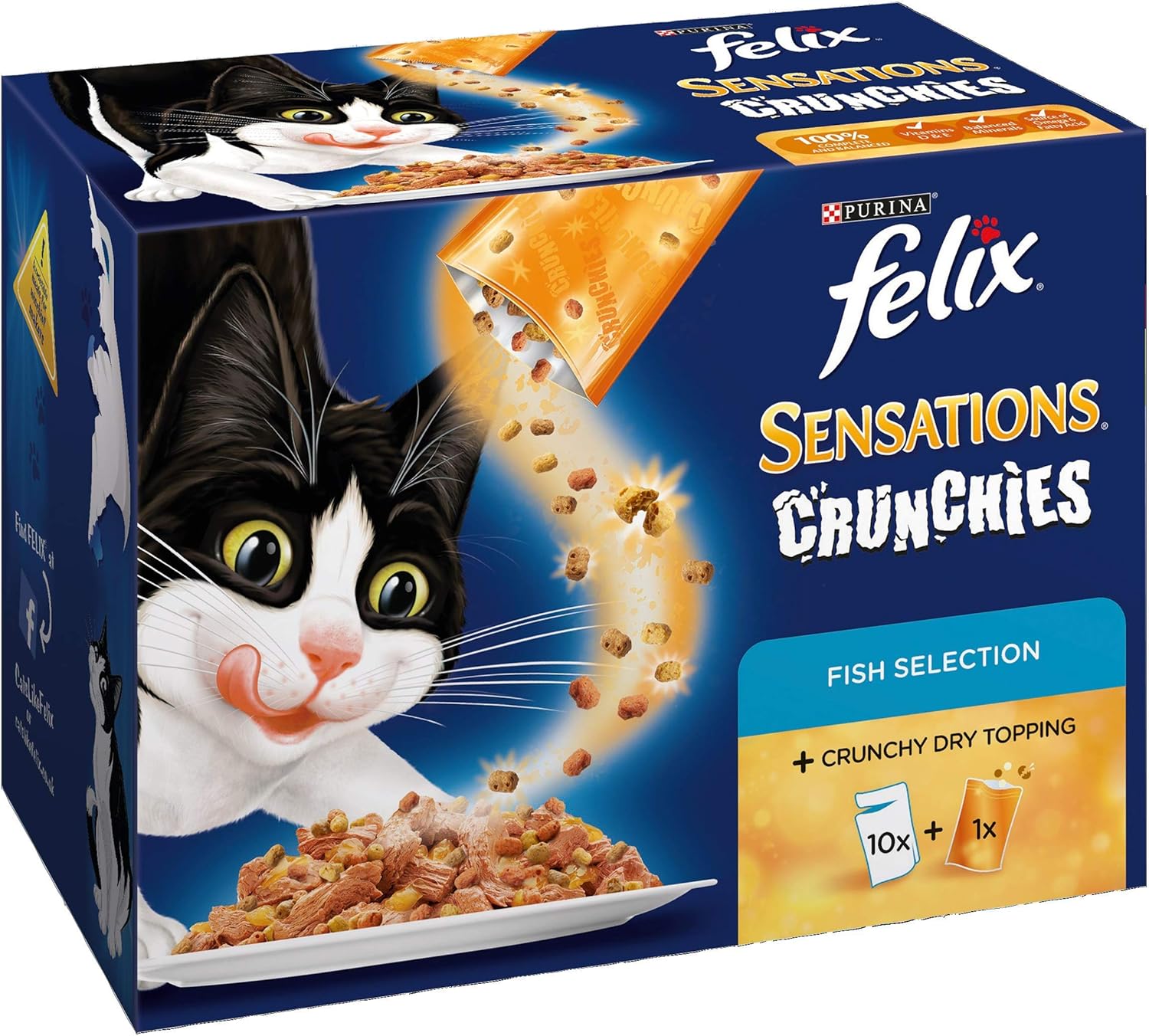 boxer coonhound mix puppies