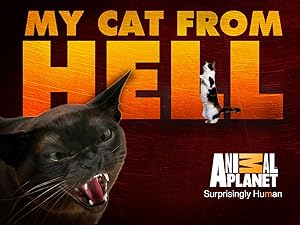 my cat from hell may full episode