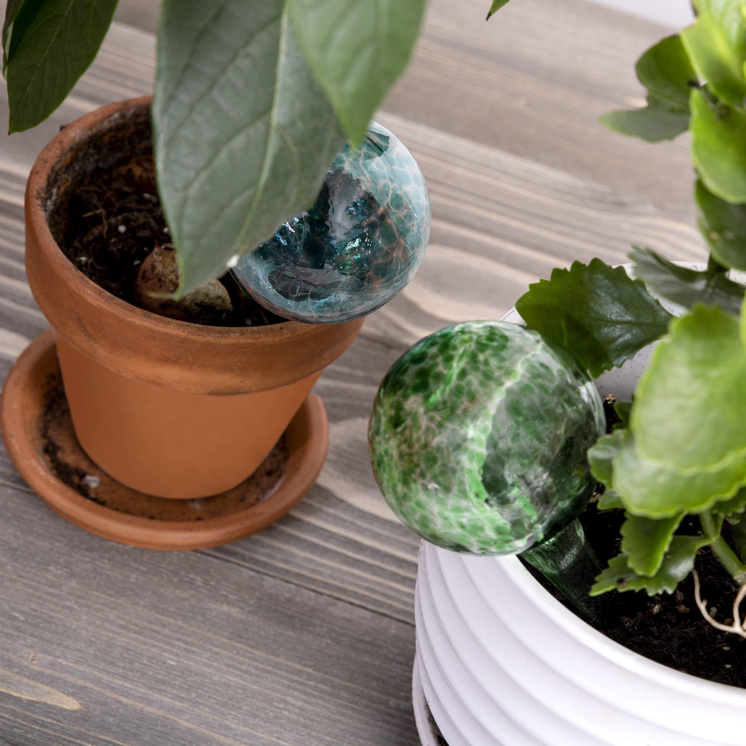 Besti Self Watering Globes for Plants (6-Pack) Waters Greenery Up to 2 Weeks Hands Free | Durable, Multicolored Glass Craftsmanship | Indoor and Outdoor Use (Set of 6)