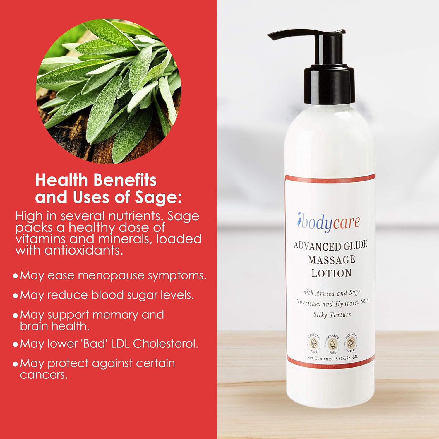 ibodycare Advanced Glide Massage Lotion for Massage Therapy, Cream Lotion, with Arnica and Sage, Nourish and Hydrate Skin, Silky Texture (8-oz) : Beauty