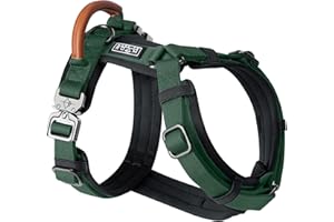 MADE TO ROAM Premium Explorer Harness - Y-Shaped Dog Harness with Adjustable Durable Nylon, Soft Padding, Metal Buckles and Leather Handle for Small, Medium, Large Dogs (Maine Marina, Size 4)