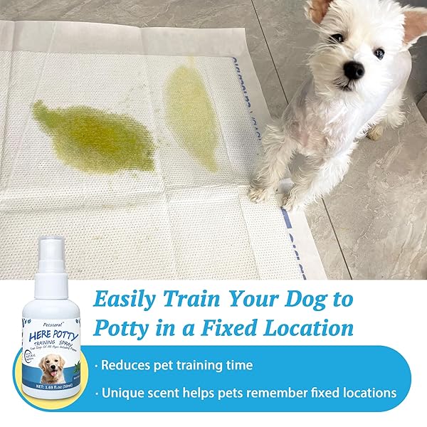 PETSTORAL DOG NOT HERE & HERE POTTY TRAINING SPRAY KIT, PUPPY ESSENTIALS. PEE HERE CORRECTOR SPRAY, PREVENT YOUR PET FROM SOILING THE CARPET. CITRUS AND MINT, 1.69 FL OZ EACHAL