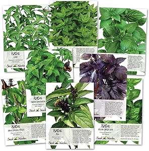 Amazon.com : Basil Seed Packet Collection (8 Individual Seed Packets