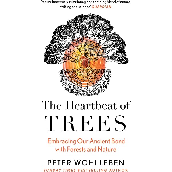 The Power of Trees: Peter Wohlleben: 9781760643621: Amazon.com: Books