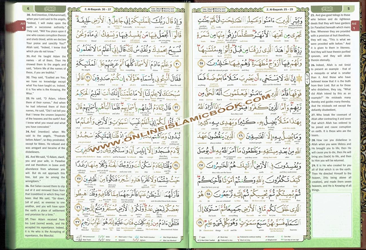 The Noble Quran Word By Word Translation and Color Coded Tajweed