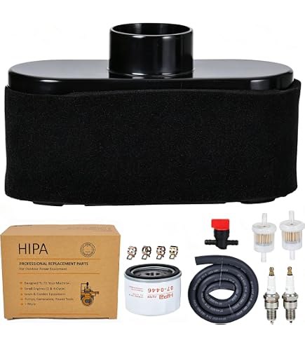 Amazon.com : PHUOC LOC THO for Tune Up Maintenance Service Kit