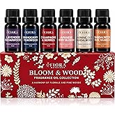 Premium Fragrance Oil Set for Candle Making, Soap, Wax Melts and Diffusers | Concentrated Scented Oils for Home Fragrance, Long Lasting Aroma Oils Gift Set for Diffusers &amp; DIY, Selfcare Gift