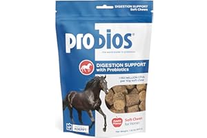 Probios Horse Soft Chews, Apple Flavor, Net Weight 1.32 lbs(600 Grams)