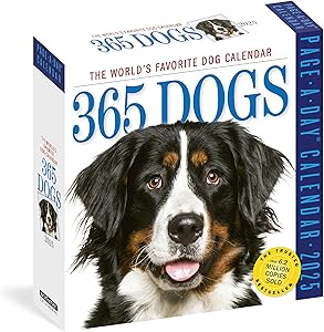 kindle best category lists