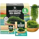 VieTreasures Organic Dehydrated Sea Grapes, 4.23oz (6 x 0.7oz Packs) | HALAL Certified, Green Caviar Seaweed, Vegan, Gluten-Free, Low Calorie Superfood, Salad Topping, Popping Texture
