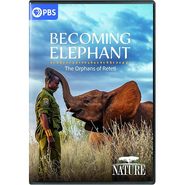 Amazon.com: Echo: An Elephant to Remember : Chris Morgan, Mike