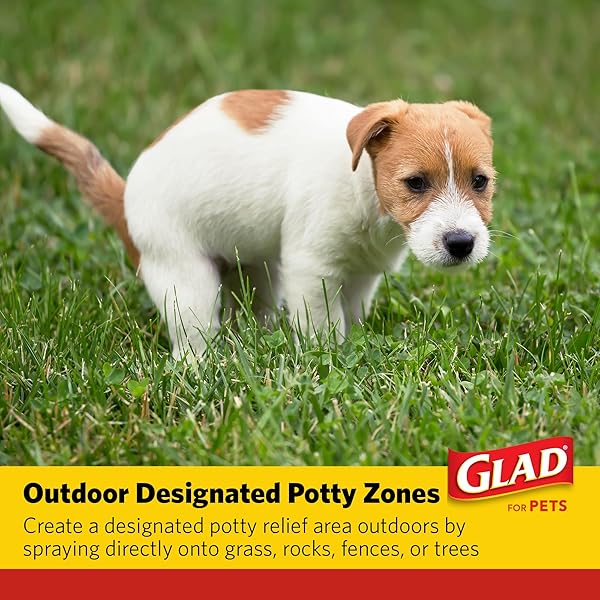GLAD FOR PETS ATTRACTANT SPRAY FOR POTTY TRAINING DOGS & PUPPIES, PEANUT BUTTER SCENT, 16OZ – EFFECTIVE DOG POTTY TRAINING SPRAY, INDOOR OR OUTDOOR DOG POTTY TRAINING AID, 16OZ BOTTLE