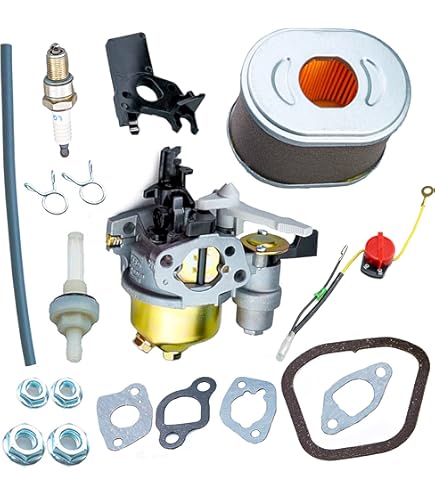 Amazon.com: Getfarway Carburetor Assembly 16100-Z4E-S46 Compatible
