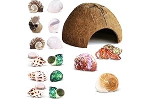 JOR Hermit Crab Shells, Shelter for Crustaceans, Terrarium Decoration, A Must for New Starter Habitats, Ends Fighting and Bullying, Adds Décor, Various Shapes and Sizes (15 Shells)