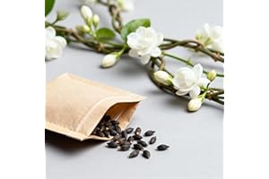 Premium Heirloom Jasmine Seeds, 50-Pack - Highly Fragrant Climbing Vine, Evergreen Plant for Garden, Trellis & Balcony, Produ
