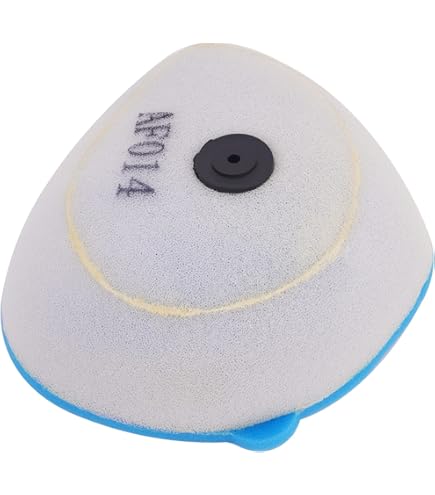 Amazon.com: 2-Pack Replacement for Kawasaki FX730V Air
