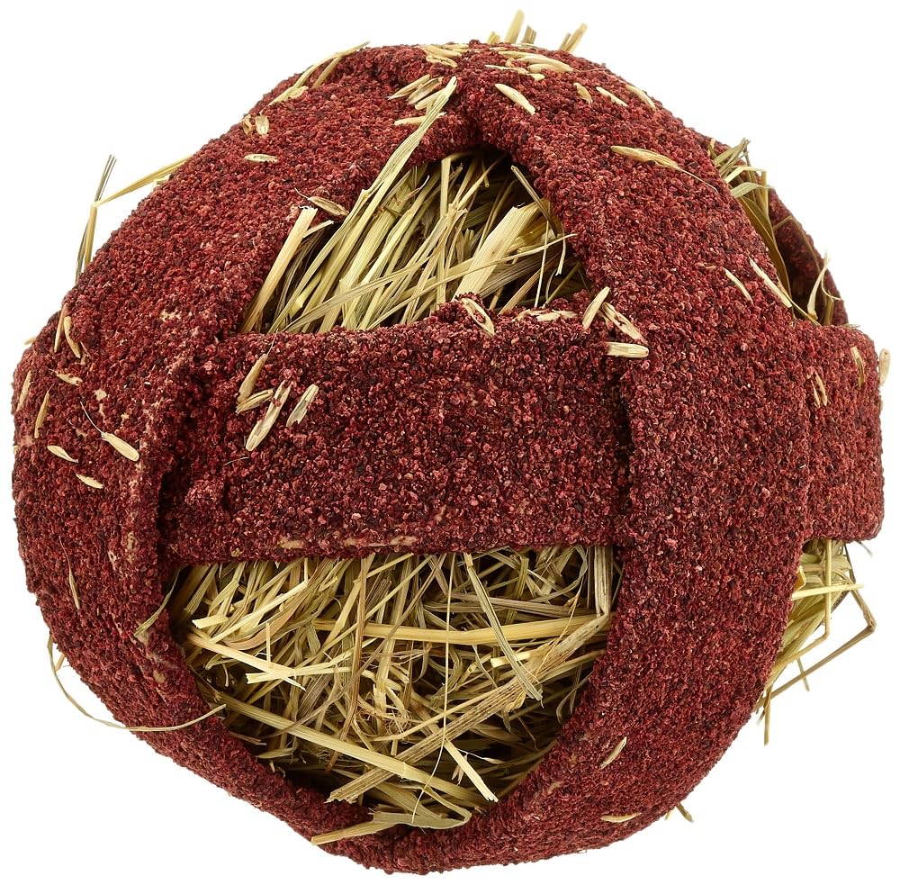 Quiko Fitness Foodball Beetroot 100g - Snack and play fun for birds