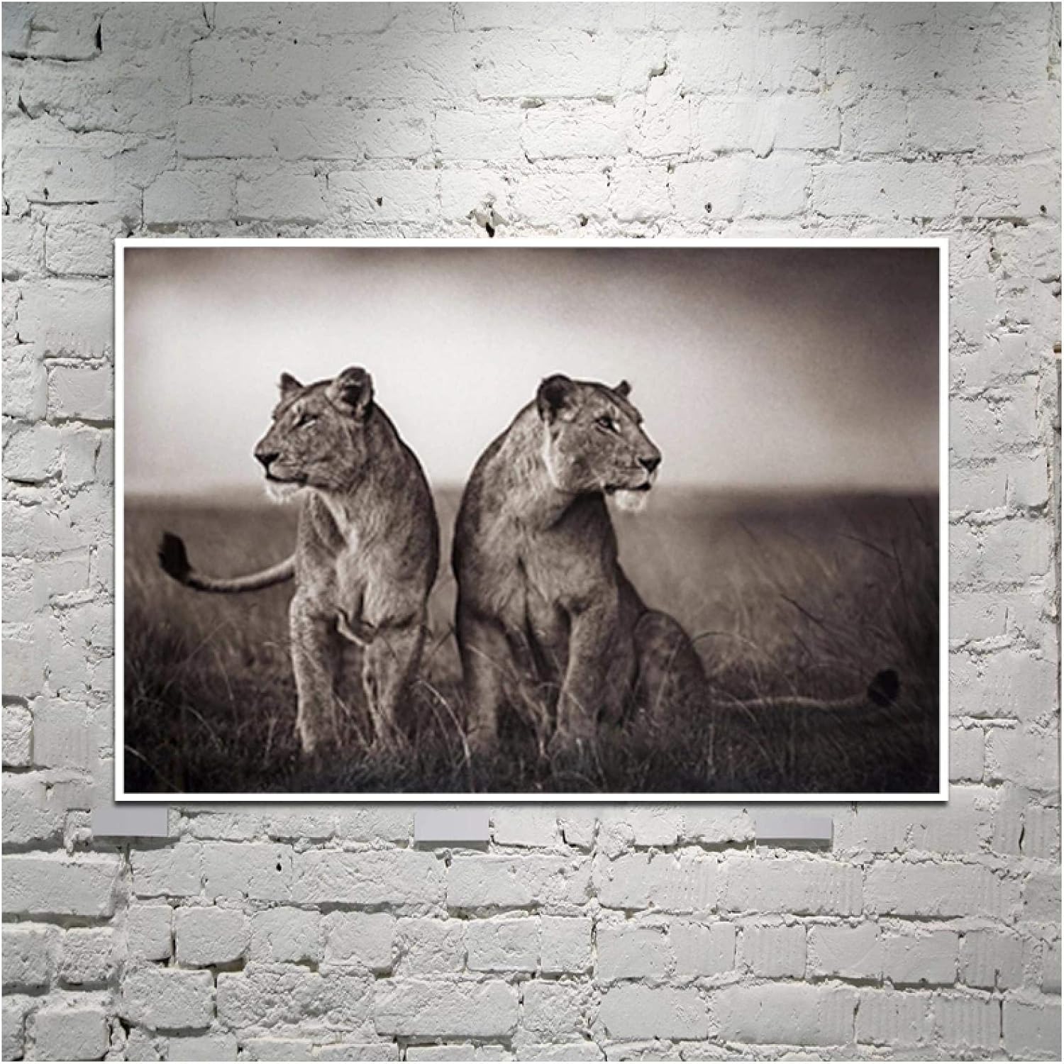 Amazon Co Jp キャンバスプリントウォールアート白黒アフリカンライオン野生動物ポスターとプリントアートリビングルームの家の装飾19 7x47 2in 50x1cm X1pcsフレームなし ホーム キッチン