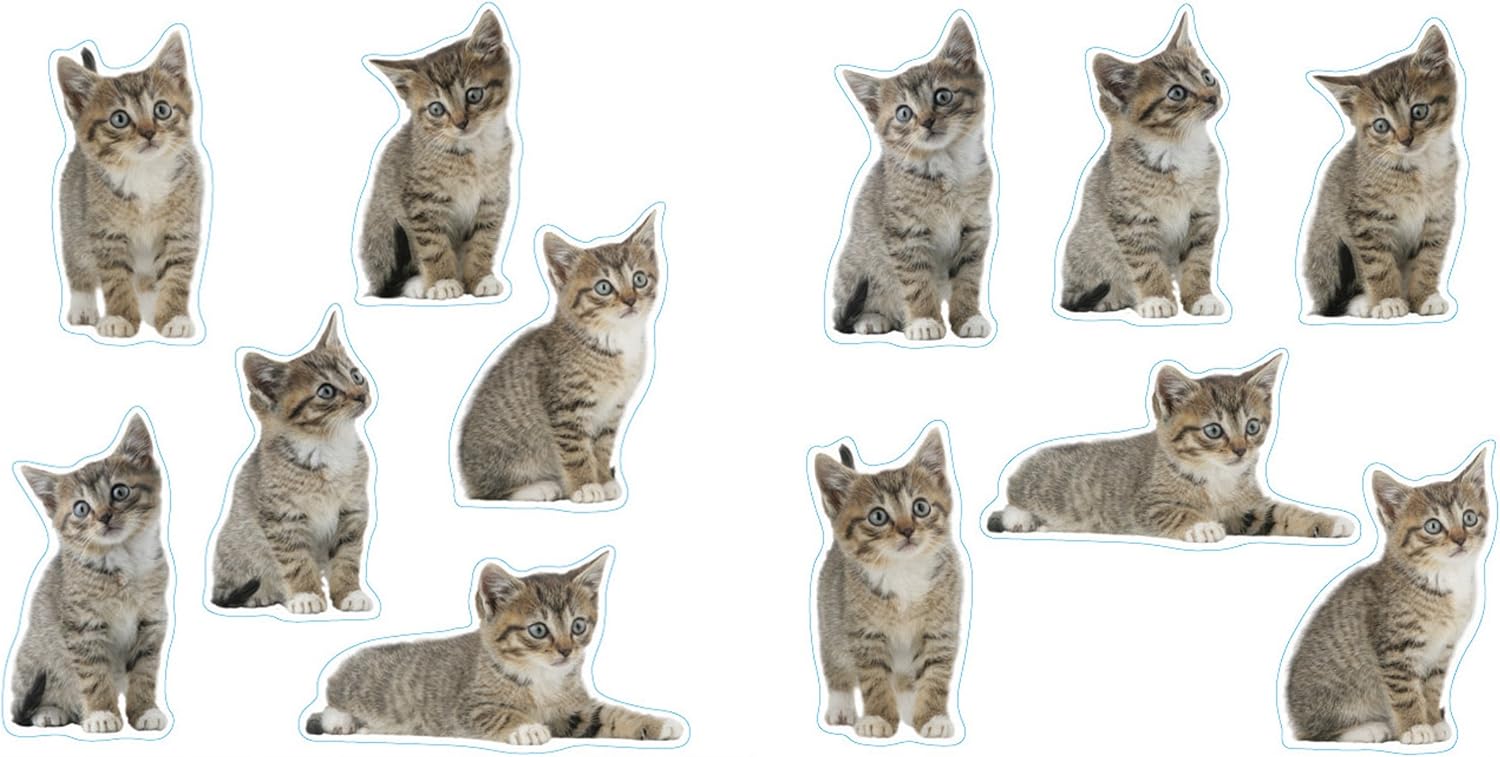 Plage Wohnaccessoires & Deko, Bunt: Amazon.de: Küche & Haushalt